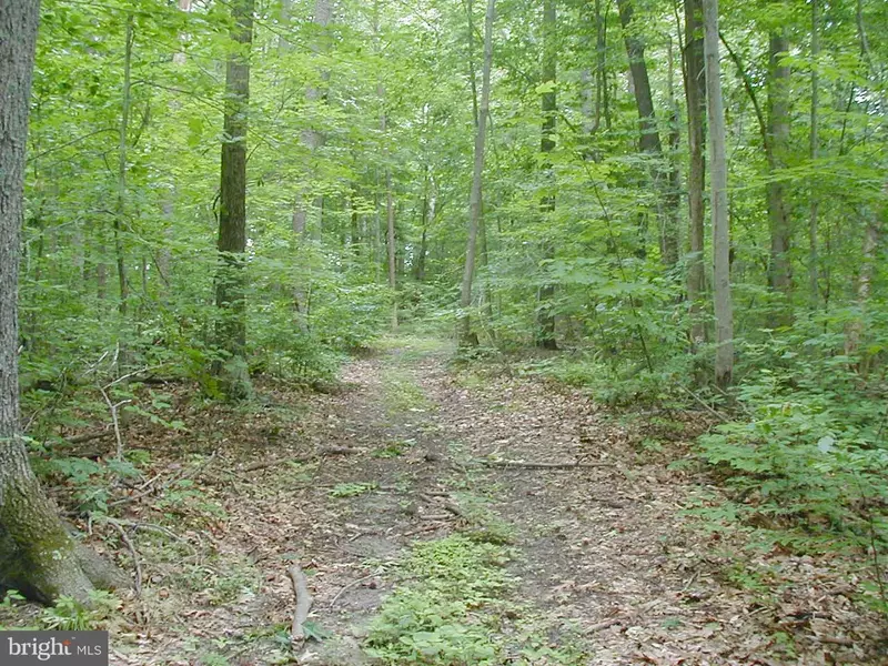 CANDY HILL ROAD #LOT 14, Upper Marlboro, MD 20772