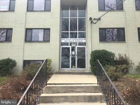 Takoma Park, MD 20912,407 TULIP AVE #103