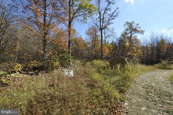 Smithsburg, MD 21783,LOT A CRYSTAL FALLS DR