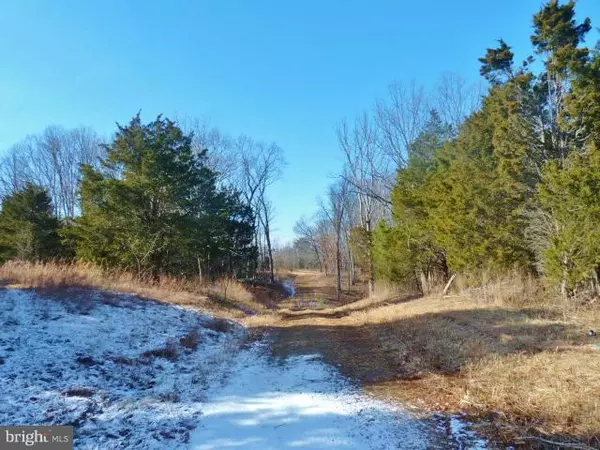 Middletown, VA 22645,-LOT 39 COMFORTER LN