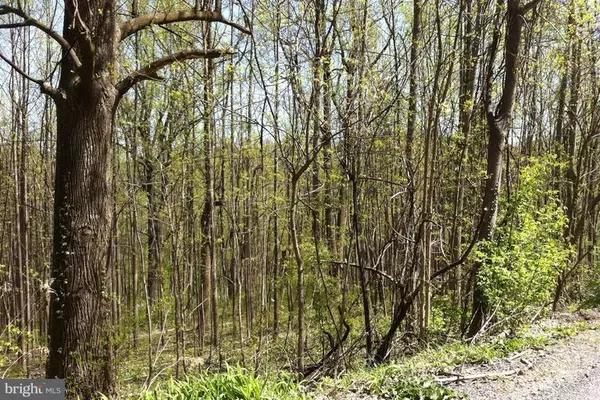 ORCHARD TREE DR, Front Royal, VA 22630