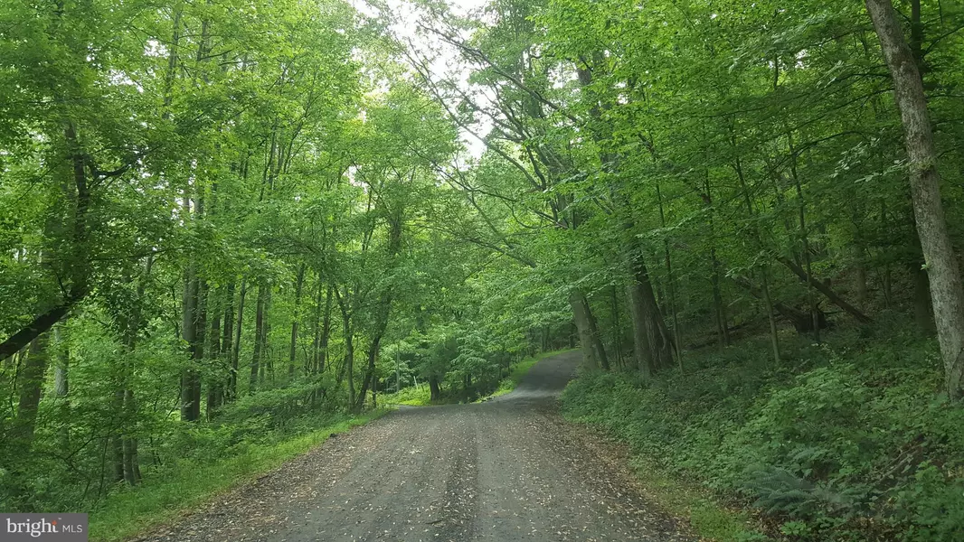 NESTLEWOOD RD, Paeonian Springs, VA 20129