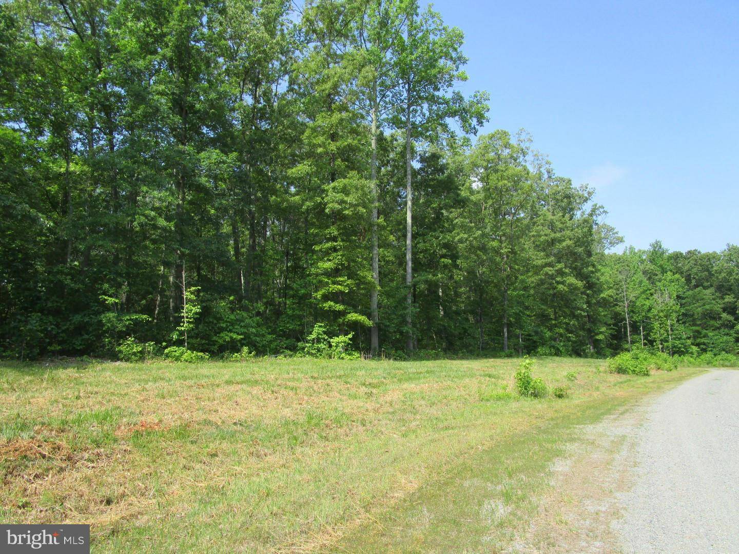 Louisa, VA 23093,3 DOVE HOLLOW