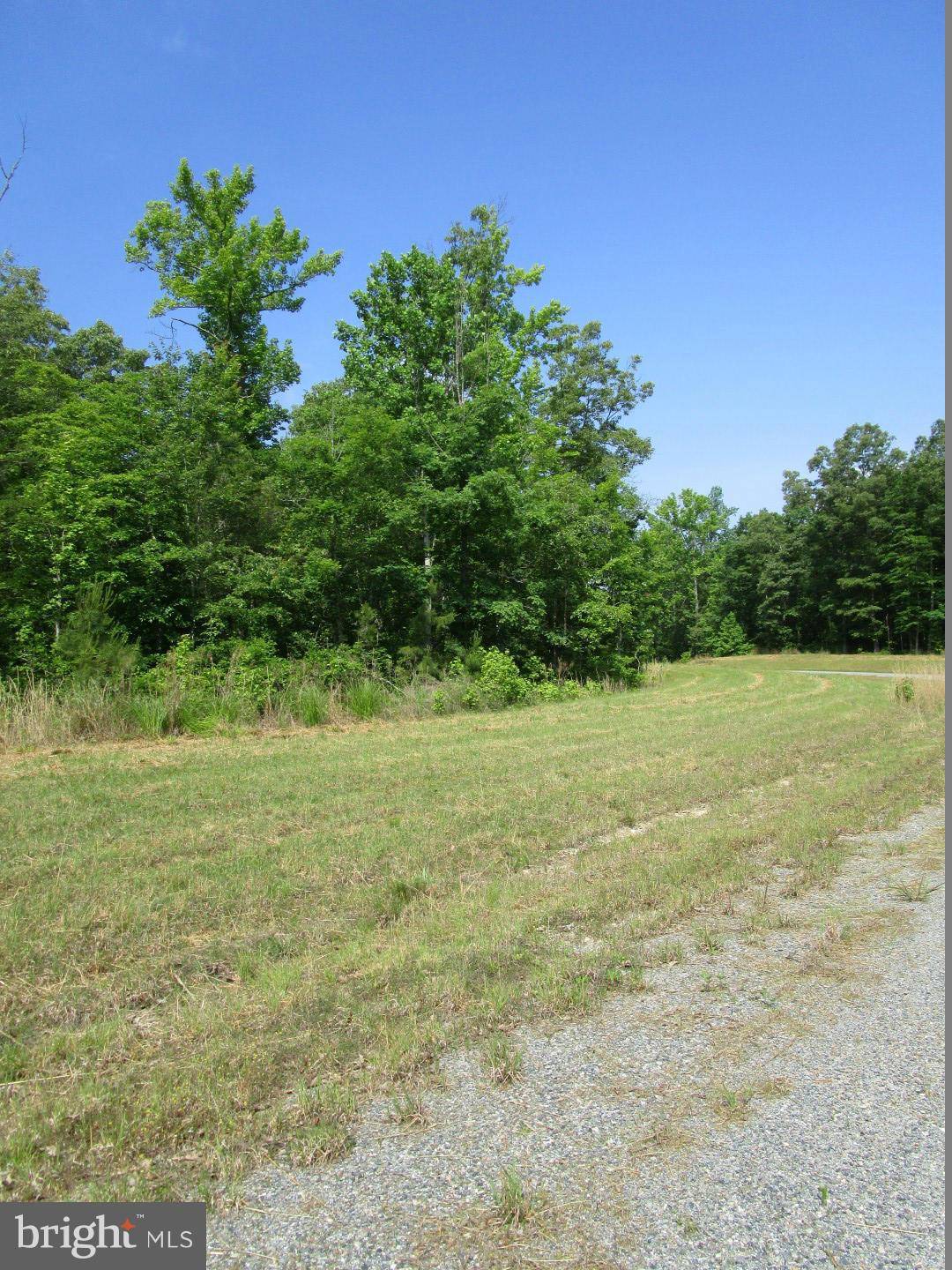 Louisa, VA 23093,3 DOVE HOLLOW