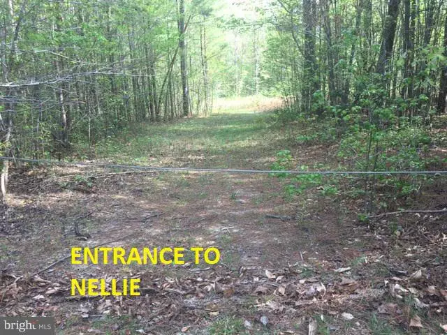 Fredericksburg, VA 22406,25 NELLIE LN