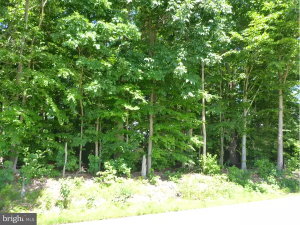 LOT 2A WASHINGTON SCHOOLHOUSE RD, Rising Sun, MD 21911