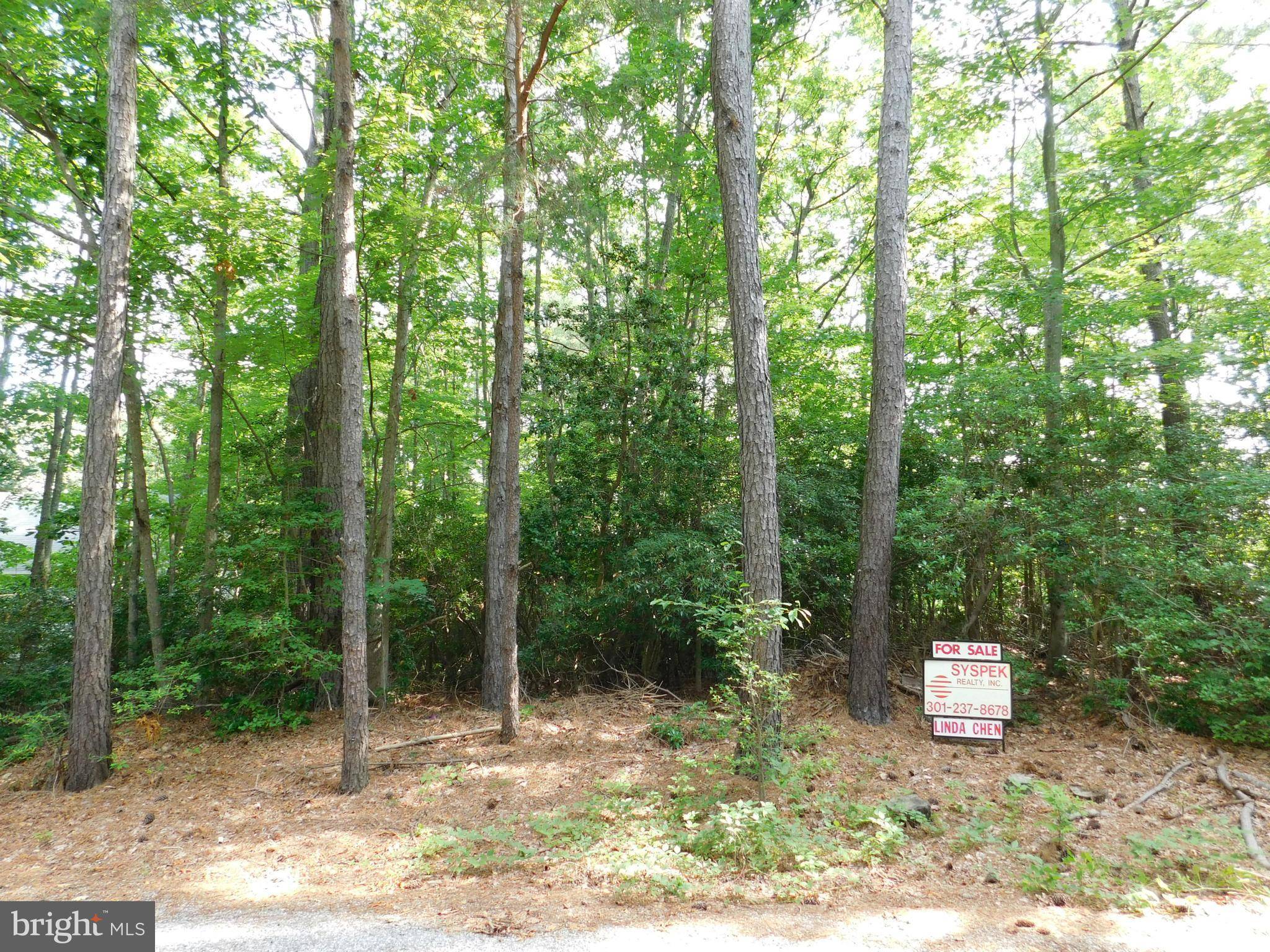 Lusby, MD 20657,230 MARINA OVERLOOK