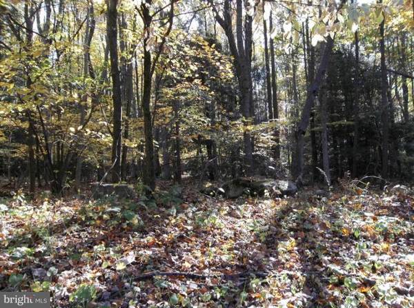 LOT 35 DEERFIELD SUBDIVISION, Oakland, MD 21550