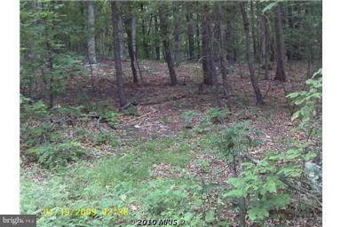 SUPINLICK RIDGE RD, Basye, VA 22810