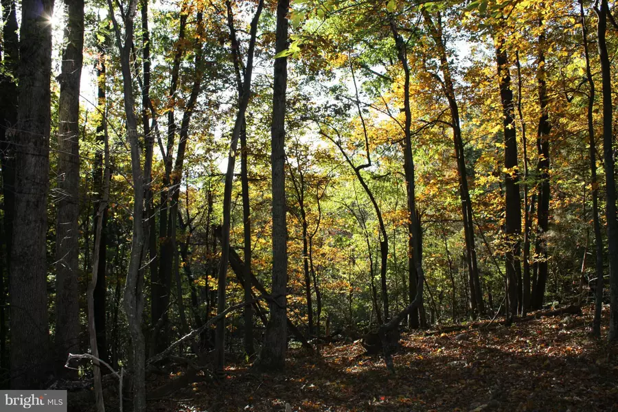 0 E. LEE HWY HWY, New Market, VA 22844