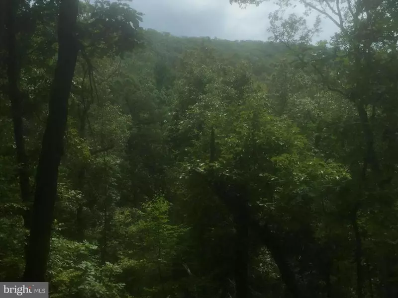 0 ORKNEY SPRINGS RD, Mount Jackson, VA 22842