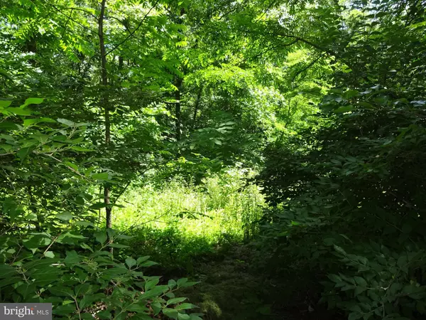 CRESAP ST, Cresaptown, MD 21502