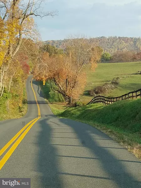 10786 RAMEY RD, Marshall, VA 20115