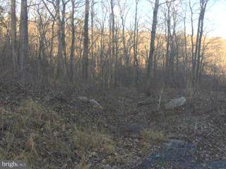 49 LOT, Luray, VA 22835