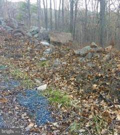 Luray, VA 22835,49 LOT