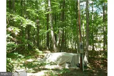 Winchester, VA 22602,LOT 24 PHEASANT DR