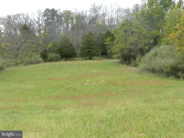 LOT 4 BACK MOUNTAIN RD, Winchester, VA 22602