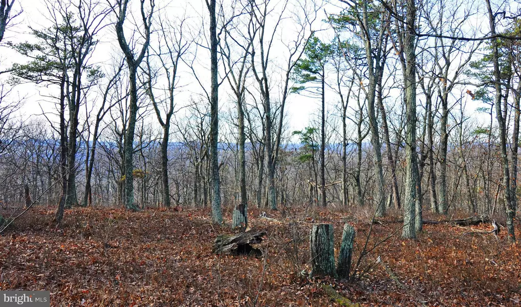 LOT 95 BOBCAT TRL, Winchester, VA 22602