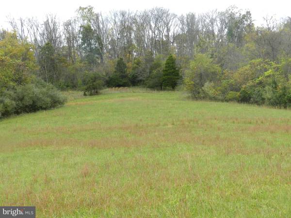 LOT 5 BACK MOUNTAIN RD, Winchester, VA 22602