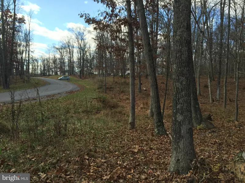 LOT 5 CHRISTO REY DR, Clear Brook, VA 22624