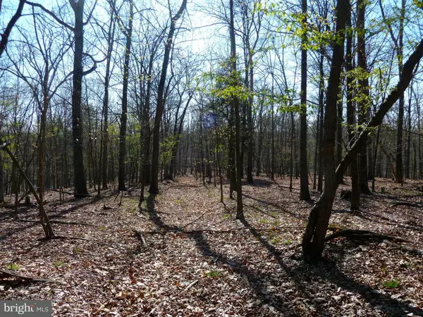 VALLEY VIEW DRIVE, LOT 1, Winchester, VA 22601