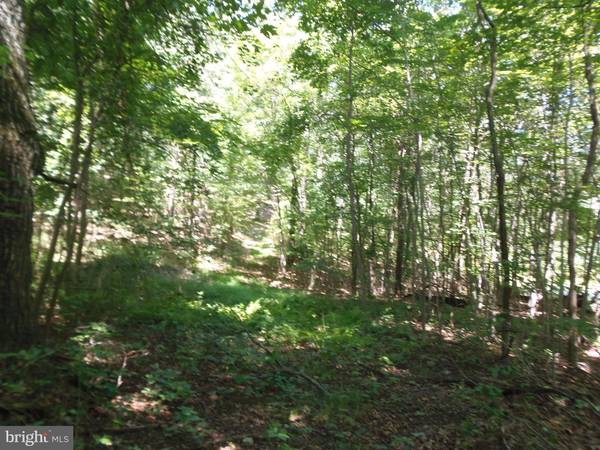 Winchester, VA 22602,0 FALL RUN LANE