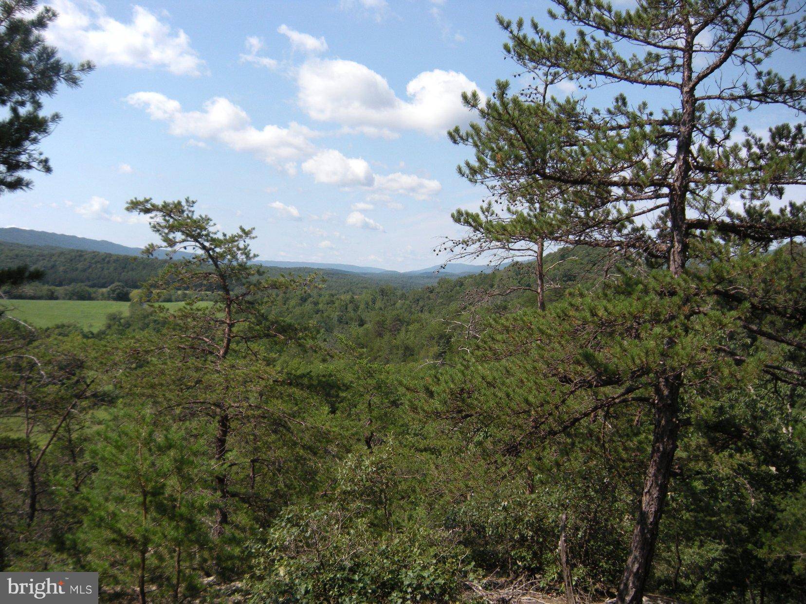 Star Tannery, VA 22654,-43 ACRES STAR TANNERY RD