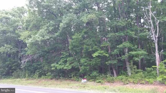 Culpeper, VA 22701,SPERRYVILLE PIKE - LOT 24-15-A