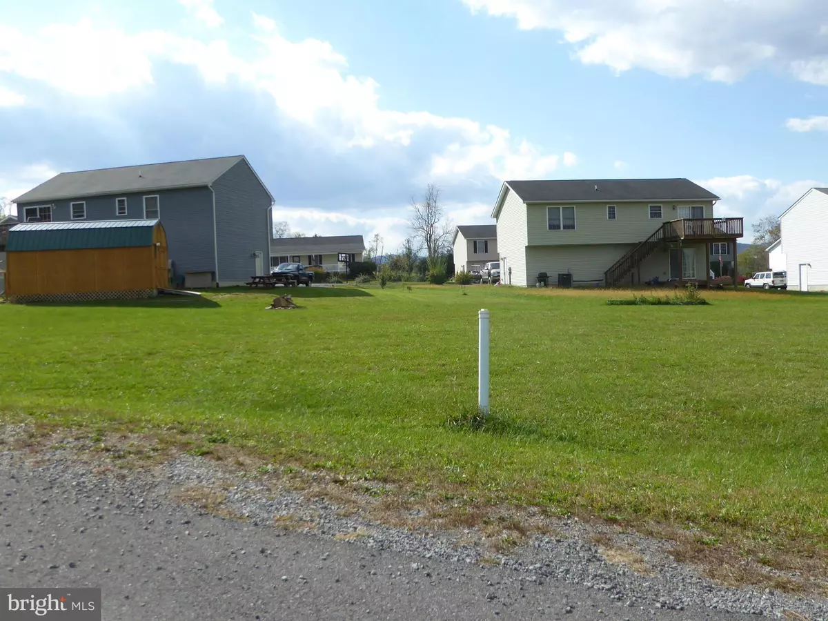 Wardensville, WV 26851,9 SASSAFRAS