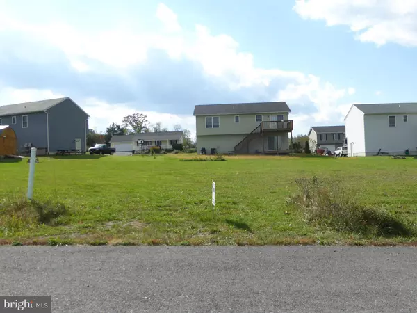 Wardensville, WV 26851,10 SASSAFRAS