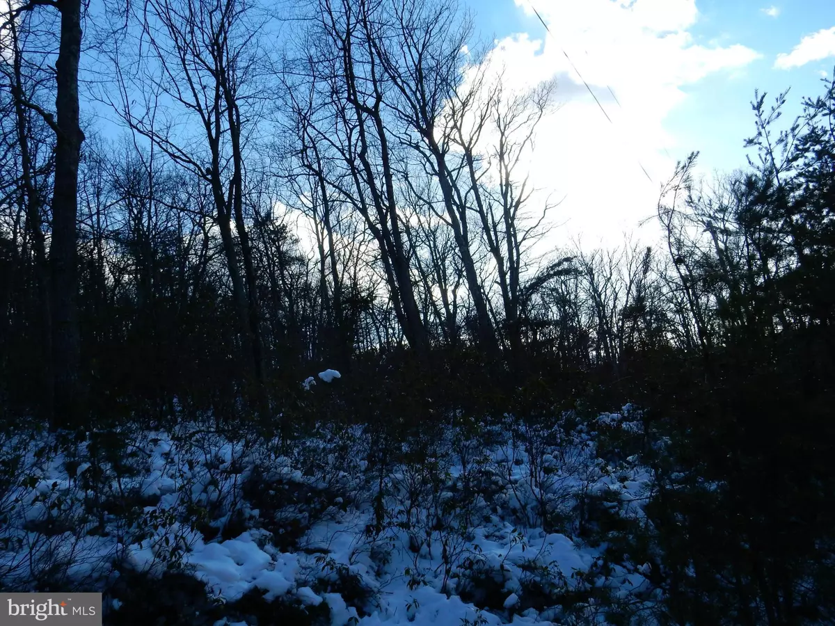 Wardensville, WV 26851,30 YELLOW PINE DRIVE