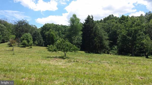 WEST BROOK ROAD LOT C, Old Fields, WV 26845