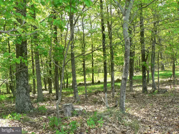 Moorefield, WV 26836,-LOT 2 TOP OF THE MOUNTAIN RD