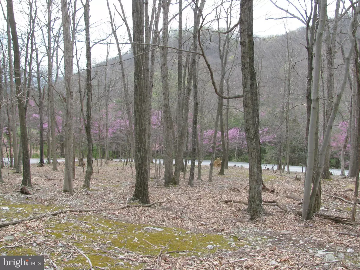 Lost River, WV 26810,SETTLERS VALLEY WAY