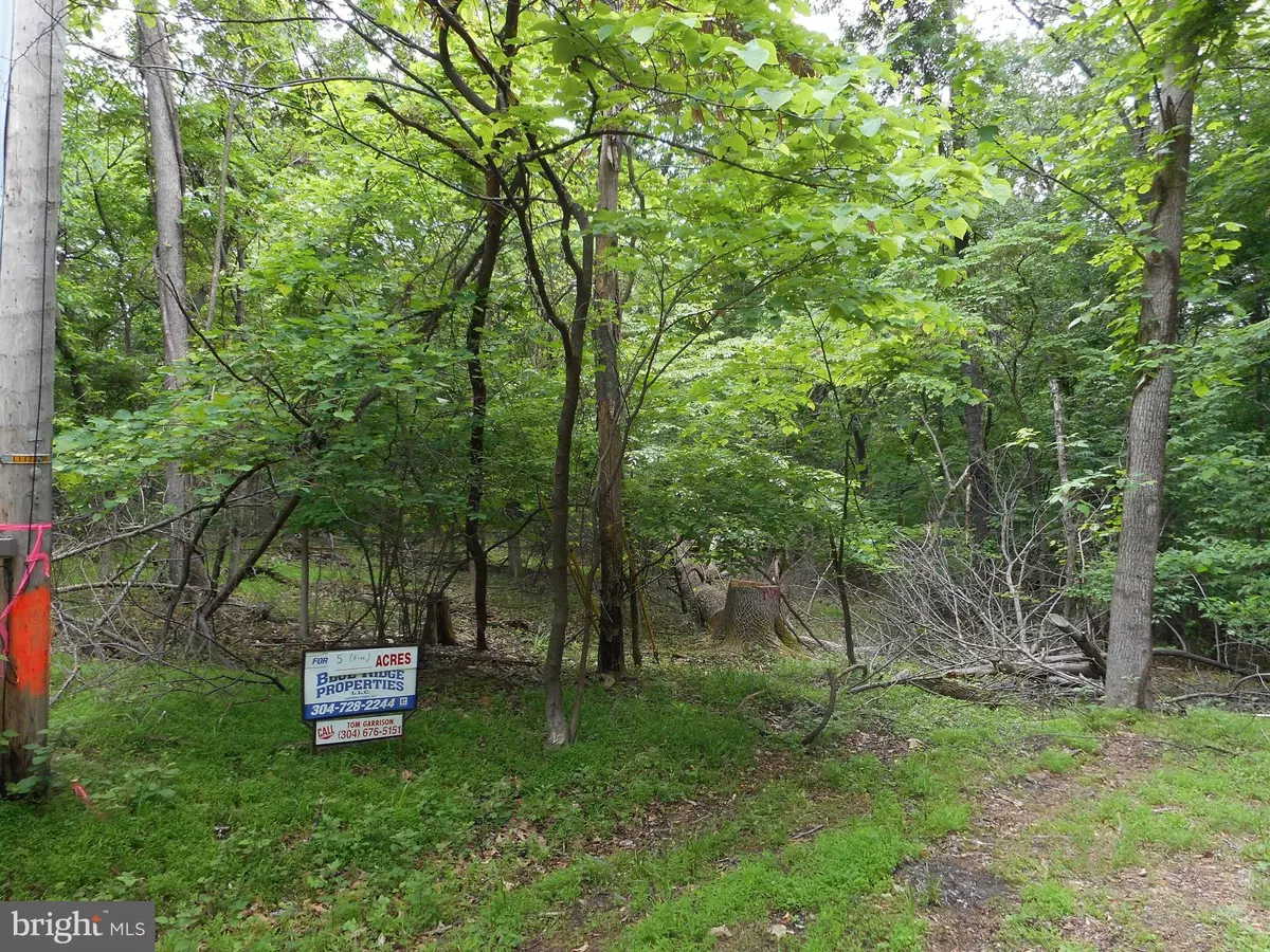 Harpers Ferry, WV 25425,WOODCUTTERS LN