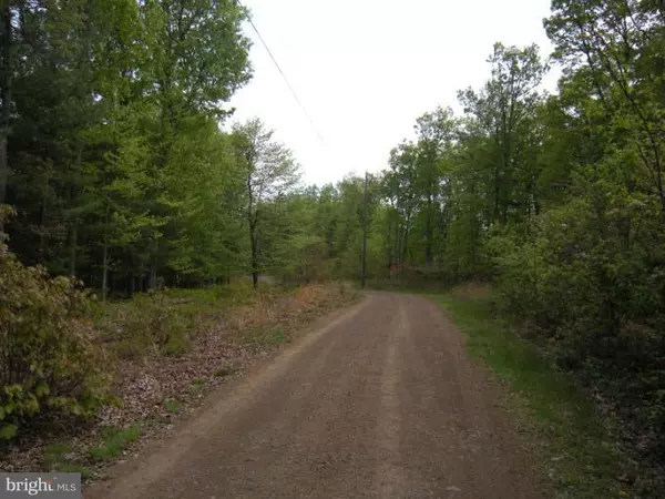 Capon Bridge, WV 26711,FARM #20 BEAR GARDEN TRL