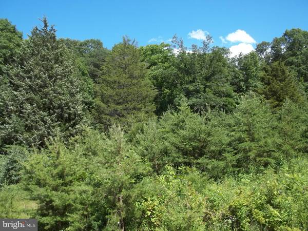 CHESTNUT OAK LN, Romney, WV 26757