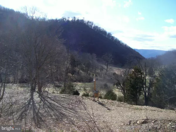 Purgitsville, WV 26852,0 PROCTOR RD