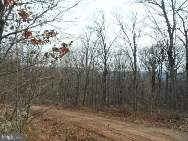 Paw Paw, WV 25434,LOT 17 FALCONWOOD DRIVE