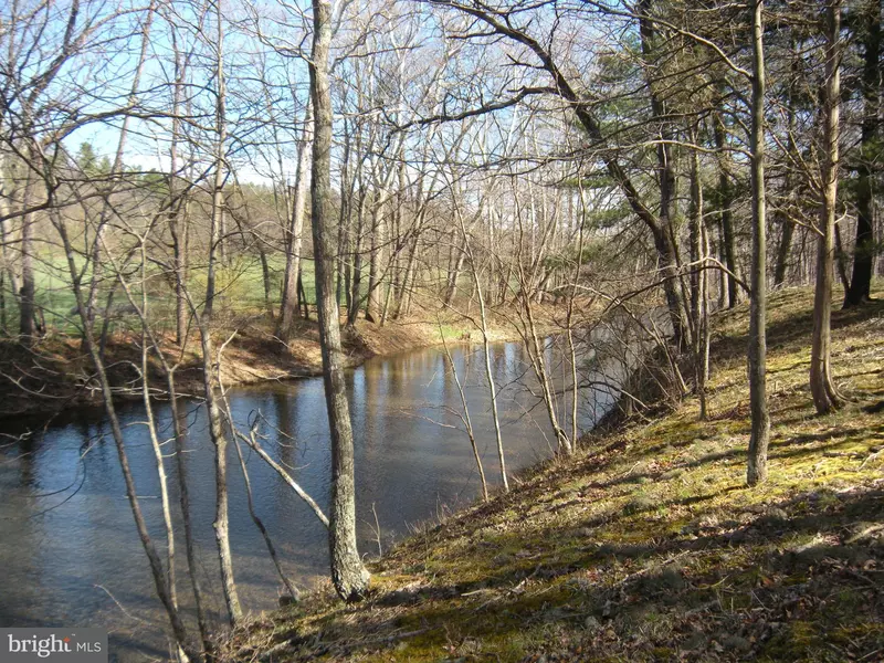 -LOT #46 RIVERWOOD TRAIL TRL, Augusta, WV 26704