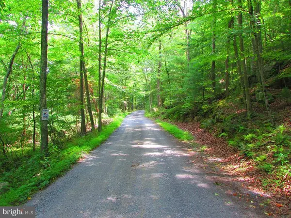 Capon Bridge, WV 26711,RITTERS VALLEY DRIVE