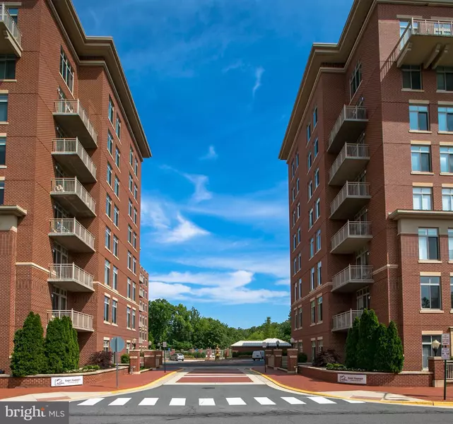 4490 MARKET COMMONS DR #313, Fairfax, VA 22033