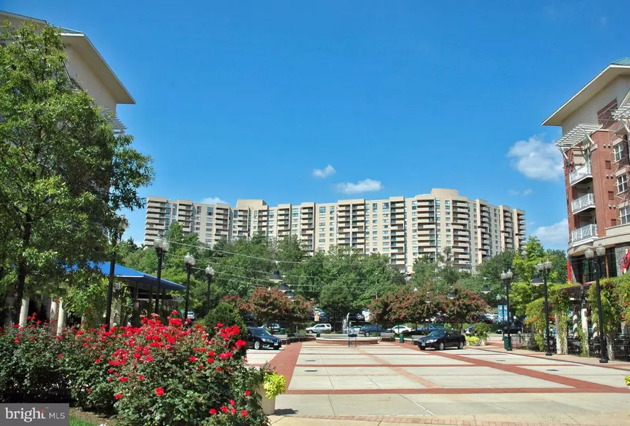 1101 ARLINGTON RIDGE RD #403, Arlington, VA 22202