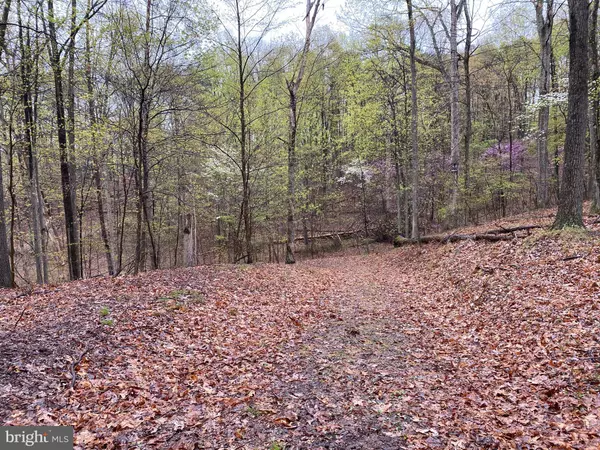 Berkeley Springs, WV 25411,LITTLE CREEK TRL