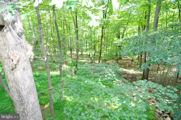 Berkeley Springs, WV 25411,55 BOBCAT TRAIL