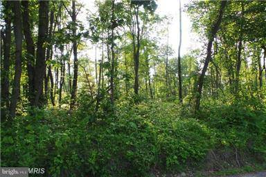 Hedgesville, WV 25427,134 FULTON ROAD