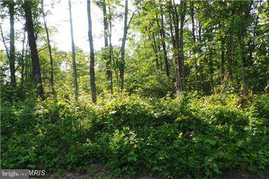Hedgesville, WV 25427,134 FULTON ROAD