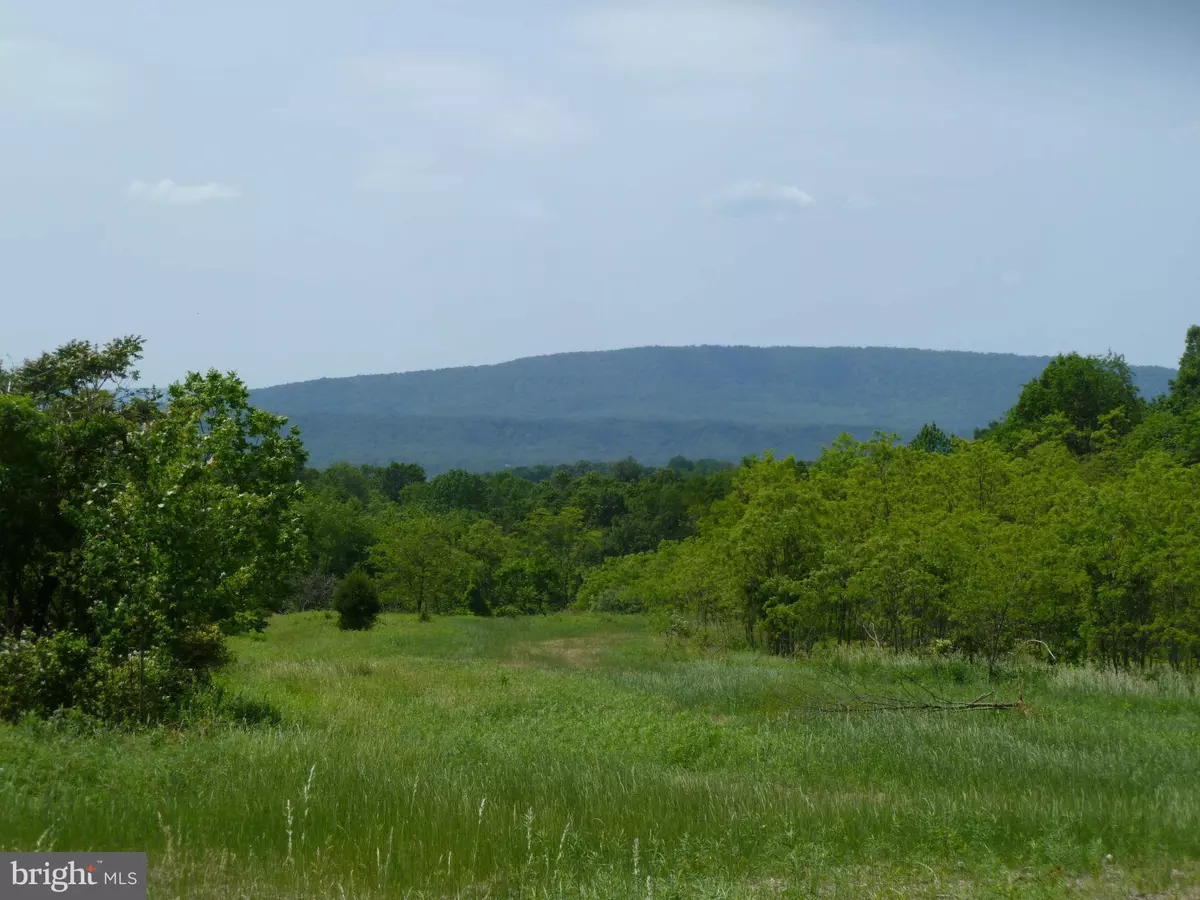 Paw Paw, WV 25434,MAGNOLIA