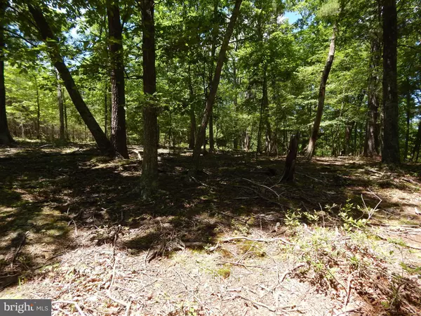 Berkeley Springs, WV 25411,LOT 10 FARSIDE LANE