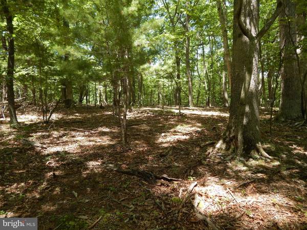 LOT 10 FARSIDE LANE, Berkeley Springs, WV 25411